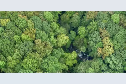 232 Andes Ridge, Ellijay, GA 30540 - Photo 4