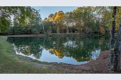 3055 Spring Hill Drive, Monroe, GA 30656 - Photo 54