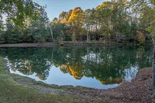 3055 Spring Hill Dr, Monroe, GA 30656 - Photo 54