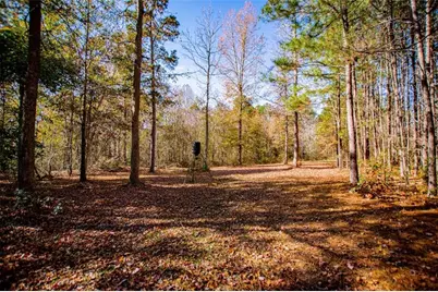 16 Garrett Avenue, Bremen, GA 30110 - Photo 84