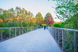 585 Sherwood Rd NE, Atlanta, GA 30324 - Photo 74