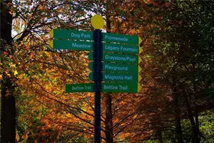 585 Sherwood Rd NE, Atlanta, GA 30324 - Photo 86