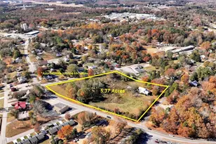 283 Yonah St, Cornelia, GA 30531 - Photo 4