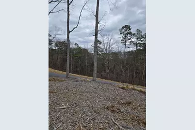 0 Canoe Way, Talking Rock, GA 30175 - Photo 4