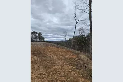 0 Canoe Way, Talking Rock, GA 30175 - Photo 2