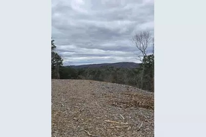 0 Canoe Way, Talking Rock, GA 30175 - Photo 16