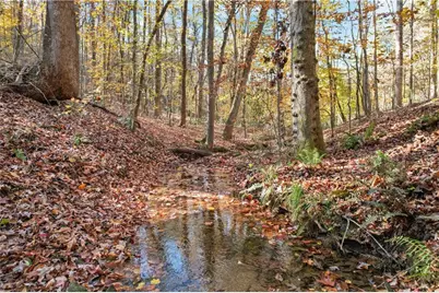 265 Green School Road, Jasper, GA 30143 - Photo 46