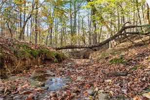 265 Green School Rd, Jasper, GA 30143 - Photo 48