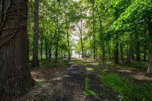 6340 Barberry Hill Dr, Gainesville, GA 30506 - Photo 34