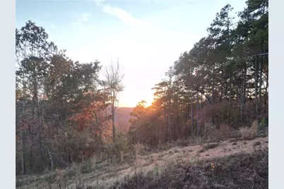 0 Canoe Way, Talking Rock, GA 30175 - Photo 4