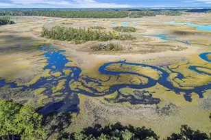 1261 Otter Slide Loop NE, Townsend, GA 31331 - Photo 2