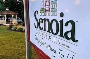 73 Bourbon St, Senoia, GA 30276 - Photo 36