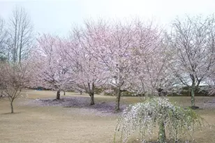 5730 Boulder Ridge Ct, Flowery Branch, GA 30542 - Photo 46