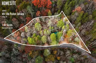 491 Old Parker Terrace, Ellijay, GA 30536 - Photo 44