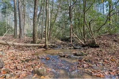 491 Old Parker Terrace, Ellijay, GA 30536 - Photo 4