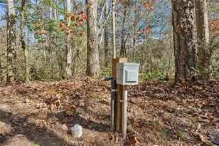 491 Old Parker Terrace, Ellijay, GA 30536 - Photo 40