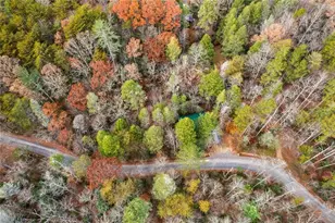 491 Old Parker Terrace, Ellijay, GA 30536 - Photo 8