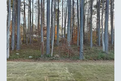 314 Sequoia Lane, Dawsonville, GA 30534 - Photo 8