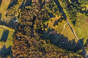 1740 Gratis Rd, Monroe, GA 30656 - Photo 16