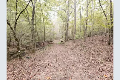 780 Blacks Mill Road, Dawsonville, GA 30534 - Photo 6