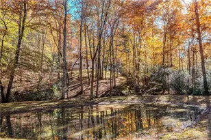 339 Wehunt Rd, Blue Ridge, GA 30513 - Photo 40