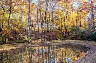 339 Wehunt Rd, Blue Ridge, GA 30513 - Photo 76