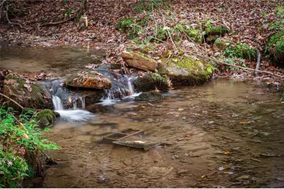 339 Wehunt Road, Blue Ridge, GA 30513 - Photo 74