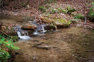 339 Wehunt Rd, Blue Ridge, GA 30513 - Photo 74