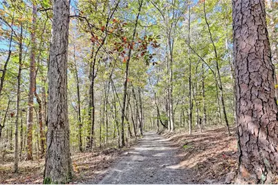 2146 Bend N Hickory Road, Toccoa, GA 30577 - Photo 32