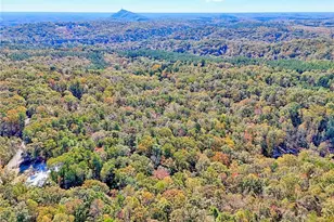 2146 Bend N Hickory Rd, Toccoa, GA 30577 - Photo 34