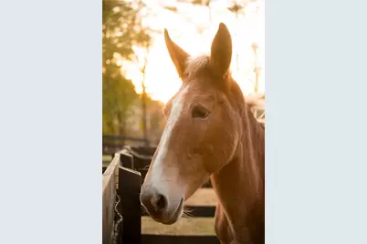 15380 Birmingham Highway, Milton, GA 30004 - Photo 46