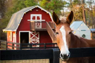 15380 Birmingham Hwy, Milton, GA 30004 - Photo 40