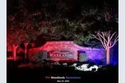 319 Dexter Drive, Woodstock, GA 30188 - Photo 48