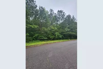 179 Ashley Trace Drive, Locust Grove, GA 30248 - Photo 4