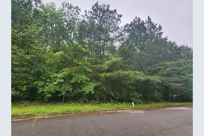 179 Ashley Trace Drive, Locust Grove, GA 30248 - Photo 2