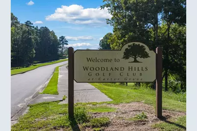 342 Belmont Drive, Cartersville, GA 30120 - Photo 46