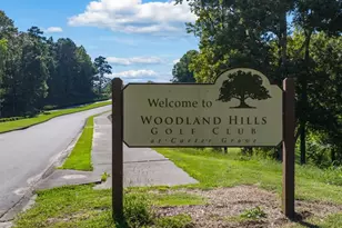 342 Belmont Dr, Cartersville, GA 30120 - Photo 46