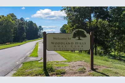 338 Belmont Drive, Cartersville, GA 30120 - Photo 50