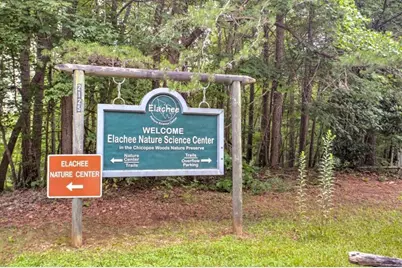 9155 Greenway Court, Gainesville, GA 30506 - Photo 36