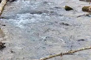 496 Beaver Dam Rd, Dahlonega, GA 30533 - Photo 28