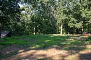 6680 Woodlake Dr, Flowery Branch, GA 30542 - Photo 98