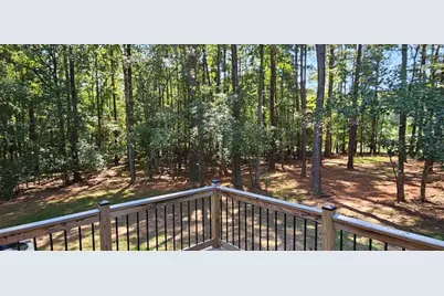 249 Gibson Road, Newnan, GA 30263 - Photo 32