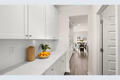 305 Staffin Drive, Senoia, GA 30276 - Photo 12