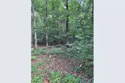 16653 Highway 36, Covington, GA 30014 - Photo 50