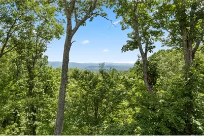 62 Bear Cub Ridge, Big Canoe, GA 30143 - Photo 2