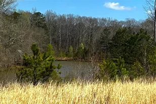 1202 Hodges Cir, Mansfield, GA 30055 - Photo 58