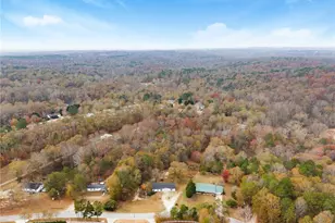 1384 Pocket Rd, Braselton, GA 30517 - Photo 42