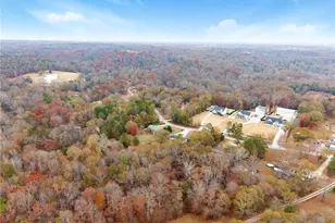 1384 Pocket Rd, Braselton, GA 30517 - Photo 48