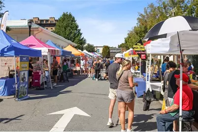 355 Banbury Crossing, Alpharetta, GA 30009 - Photo 50