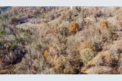 0 Auraria Road, Dawsonville, GA 30534 - Photo 10